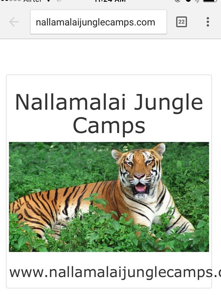 To Bairluty (Jungle Camp) – Namaste!